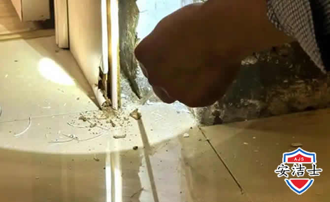 上城区房屋建筑防治白蚁