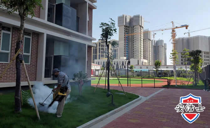 上城区工厂工地除白蚁