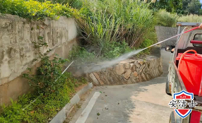 上城区道路堤坝白蚁防治