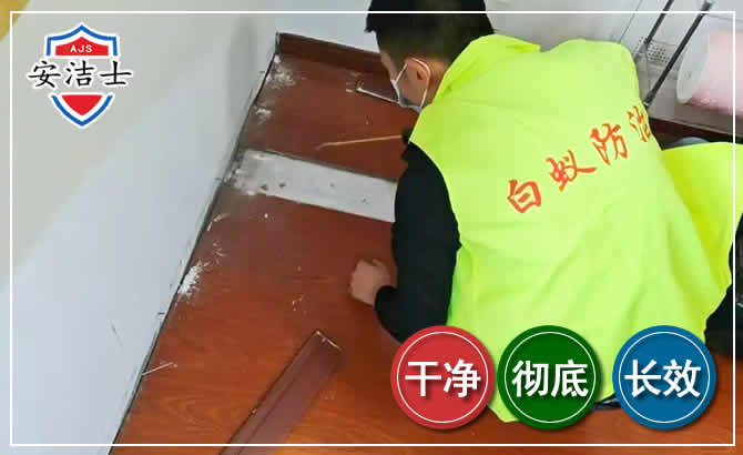 上城区除四害现场