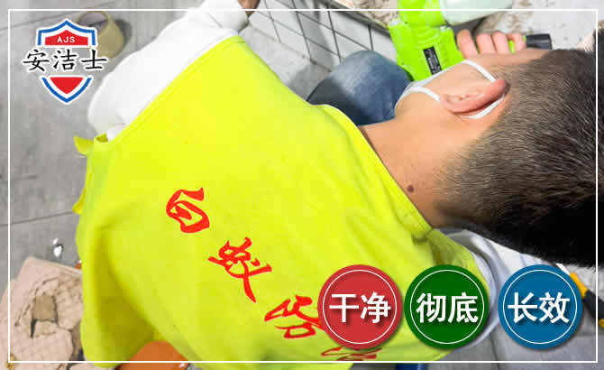 上城区白蚁根治现场